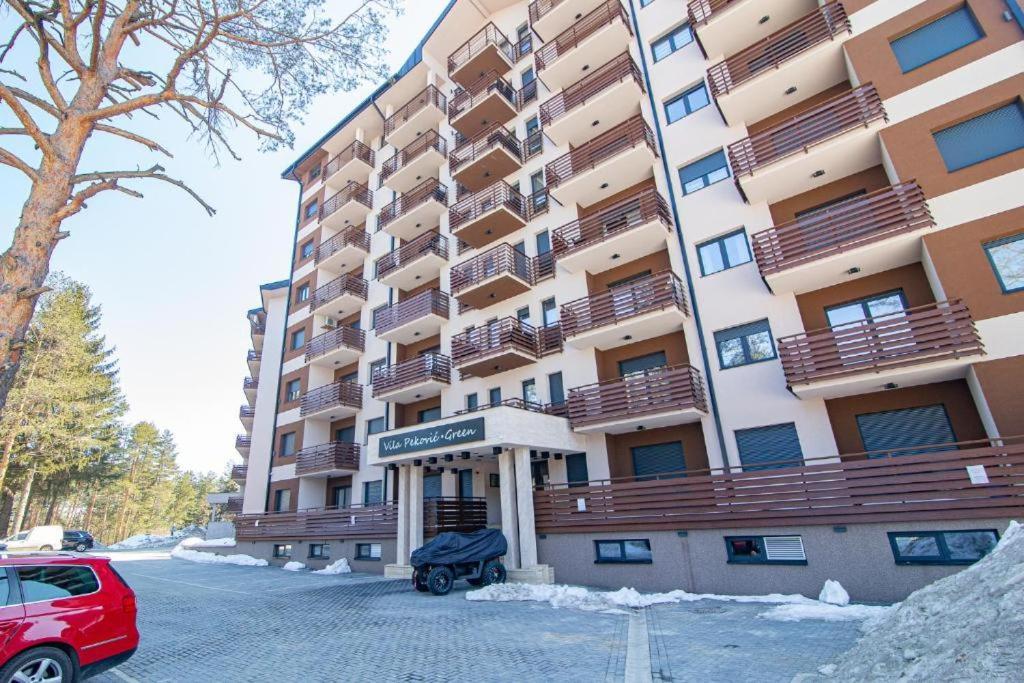 Apartment S12 Pekovic